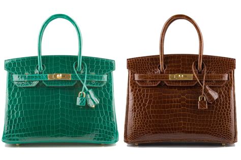 hermes alligator vs crocodile.